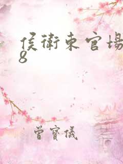 侯卫东官场笔记8