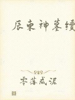 辰东神墓续集