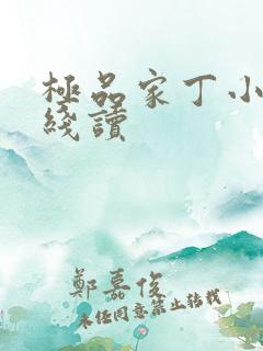 极品家丁小说在线读