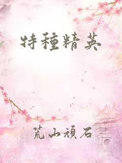 特种精英