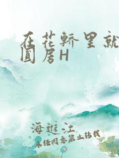 在花轿里就开始圆房H