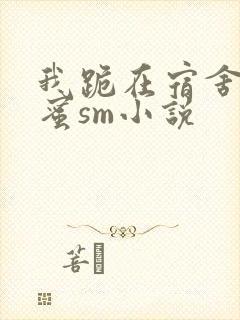 我跪在宿舍被闺蜜sm小说