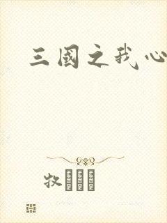 三国之我心狂想