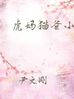 虎妈猫爸小说