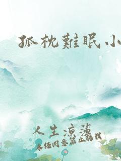 孤枕难眠小说