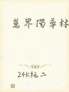 万界独尊林枫