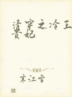 清穿之冷王的皇贵妃