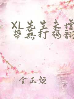 XL先生未增删带无打码翻译