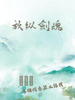 放纵剑魂