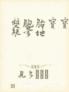 双胞胎宝宝的总统爹地