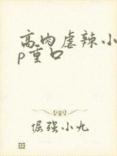 高肉虐辣小说np重口
