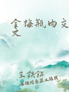 金梅瓶肉交白话文