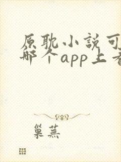 原耽小说可以在哪个app上看