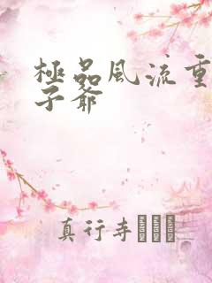 极品风流重生太子爷