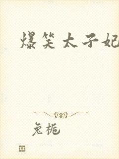 爆笑太子妃