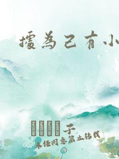 据为己有小说