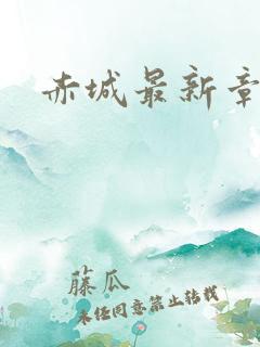 赤城最新章节