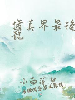 修真界最后一条龙