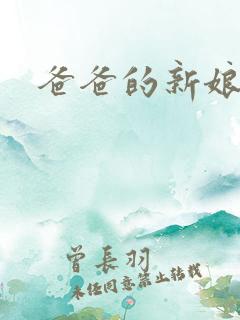爸爸的新娘bl