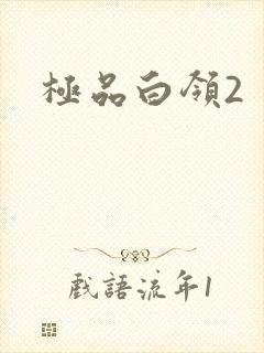 极品白领2