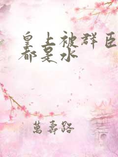 皇上被群臣干的都是水