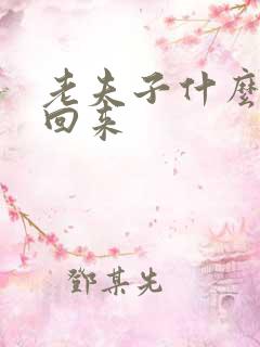 老夫子什么时候回来