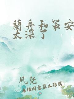 兰舟和策安肉 太深了