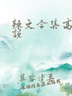 辣文合集高h小说