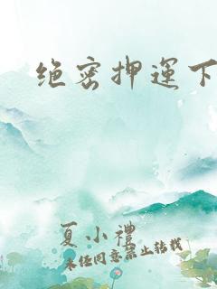 绝密押运下载