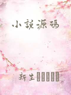 小说源码