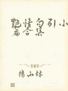 艳情勾引小说短篇合集