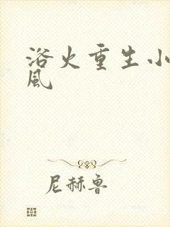 浴火重生小说陈风
