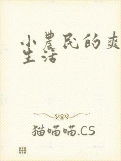 小农民的爽歪歪生活