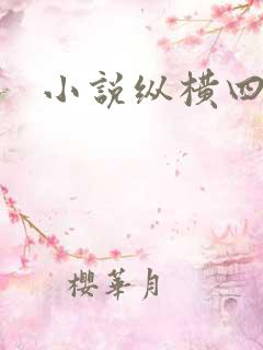 小说纵横四海