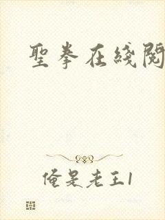 圣拳在线阅读