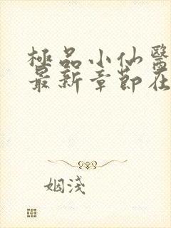 极品小仙医张昊最新章节在线阅读