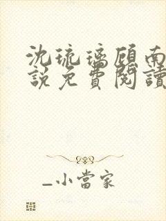 沈琉璃顾南星小说免费阅读