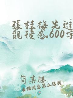 张桂梅先进事迹观后感600字