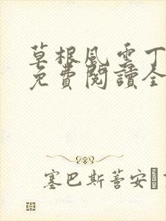 草根风云丁长生免费阅读全本