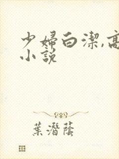 少妇白洁,高义小说