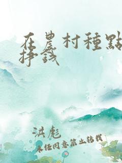 在农村种点什么挣钱