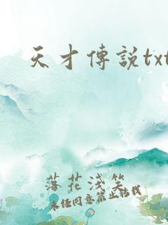 天才传说txt