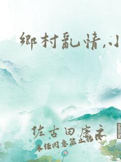 乡村乱情,小雷