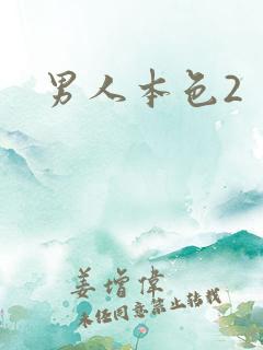 男人本色2