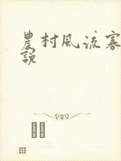 农村风流寡妇小说
