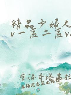 精品少妇人妻av一区二区v8