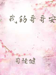 我的哥哥安小天