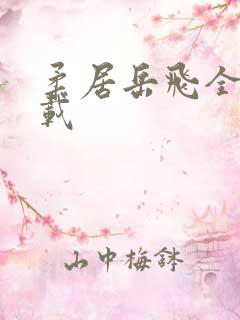 柔居岳飞全传下载