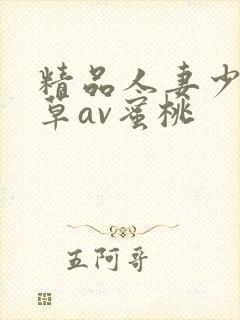 精品人妻少妇嫩草av蜜桃