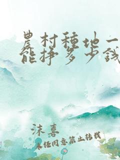 农村种地一亩地能挣多少钱啊